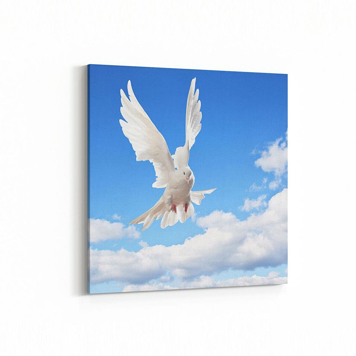 Olla 15876K Gökyüzü Kuşlar Görseli Kare Kanvas Tablo (Ölçü: 25X25)