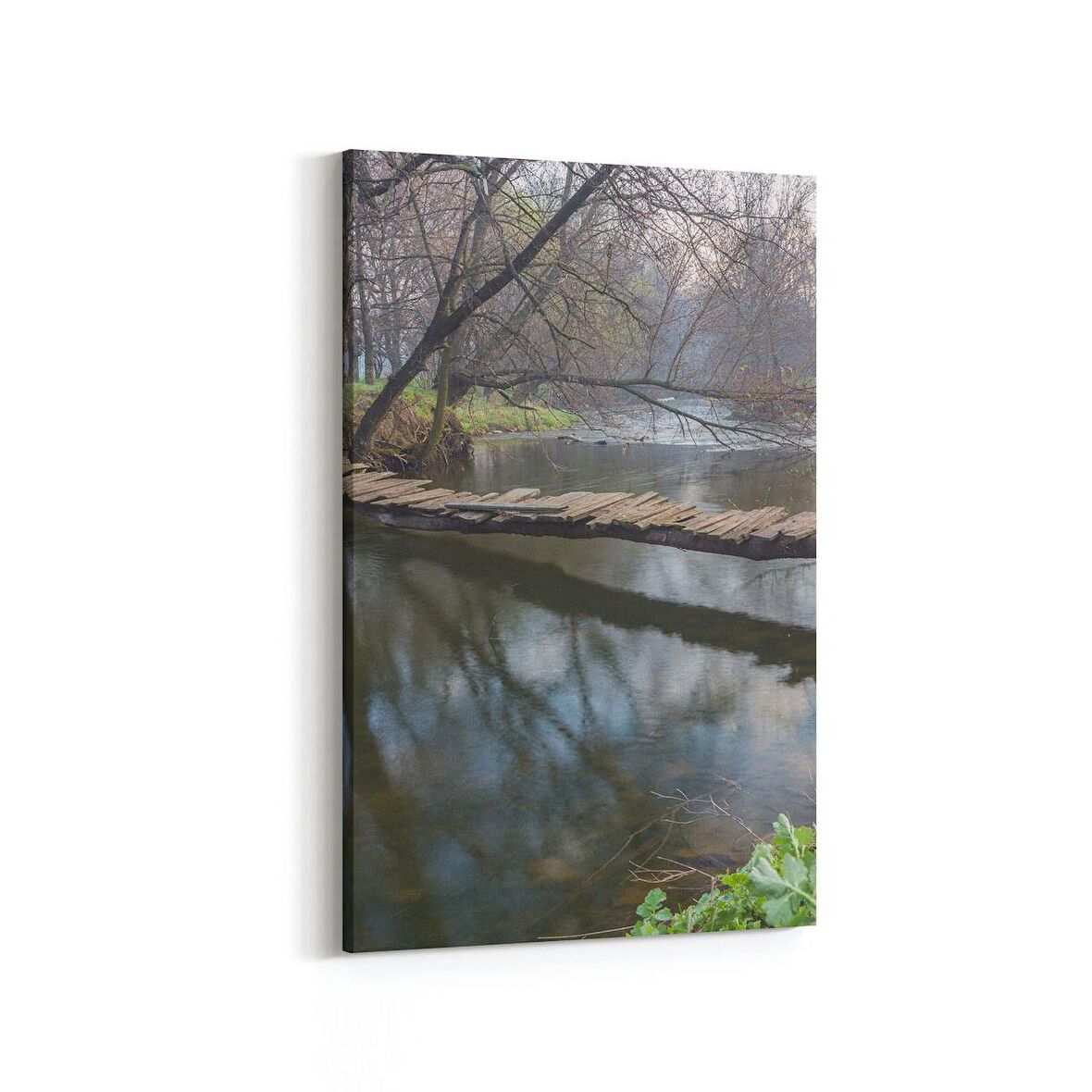 Olla 13662D Doğa / Manzara Görseli Dikey Kanvas Tablo (Ölçü: 60X90)
