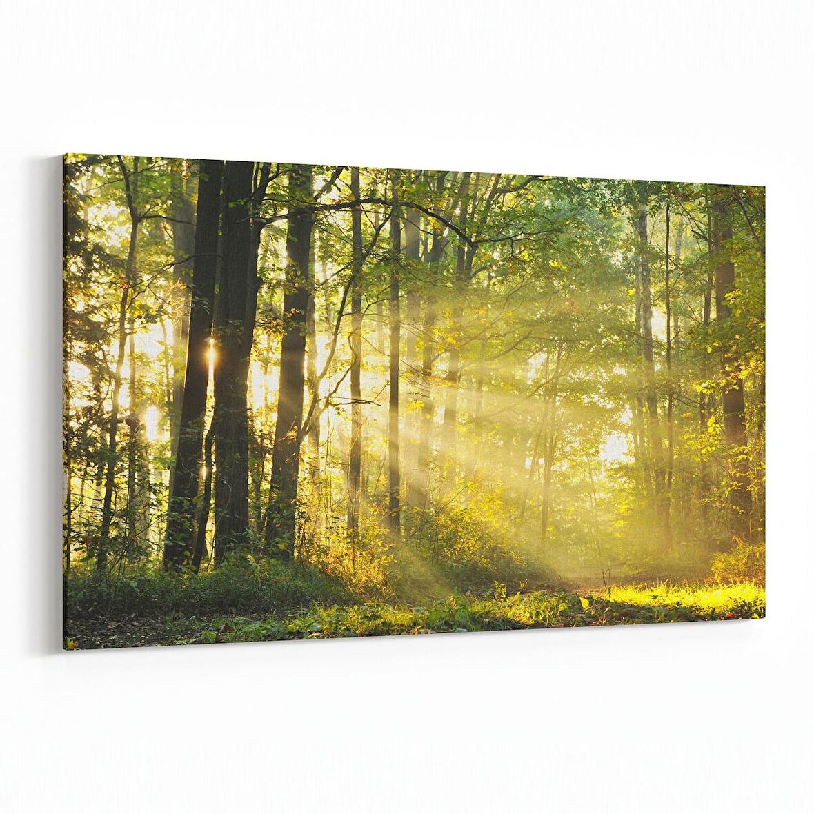 Olla 13268Y Doğa / Manzara Görseli Yatay Kanvas Tablo (Ölçü: 45X30)