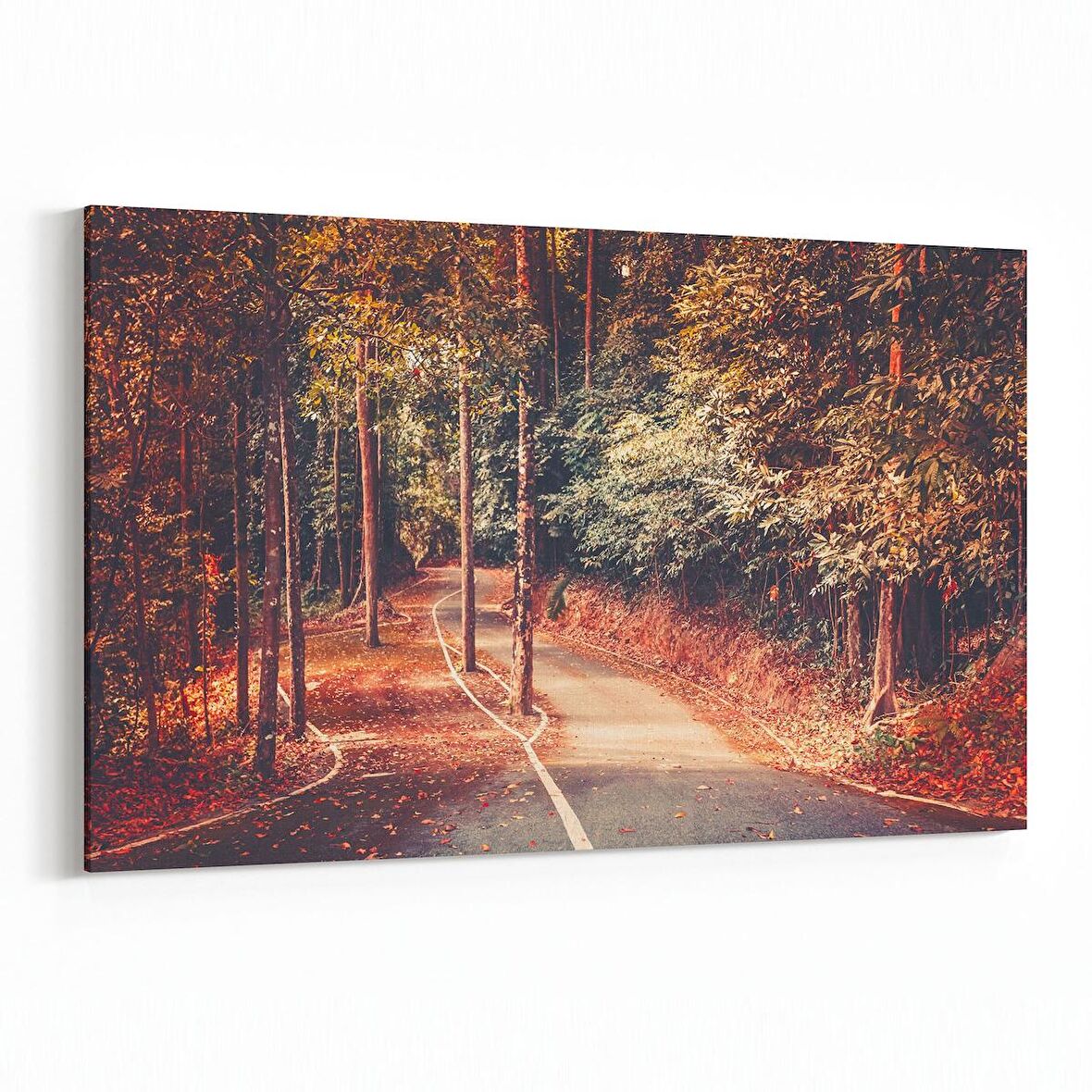 Olla 14454Y Doğa / Manzara Görseli Yatay Kanvas Tablo (Ölçü: 120X80)