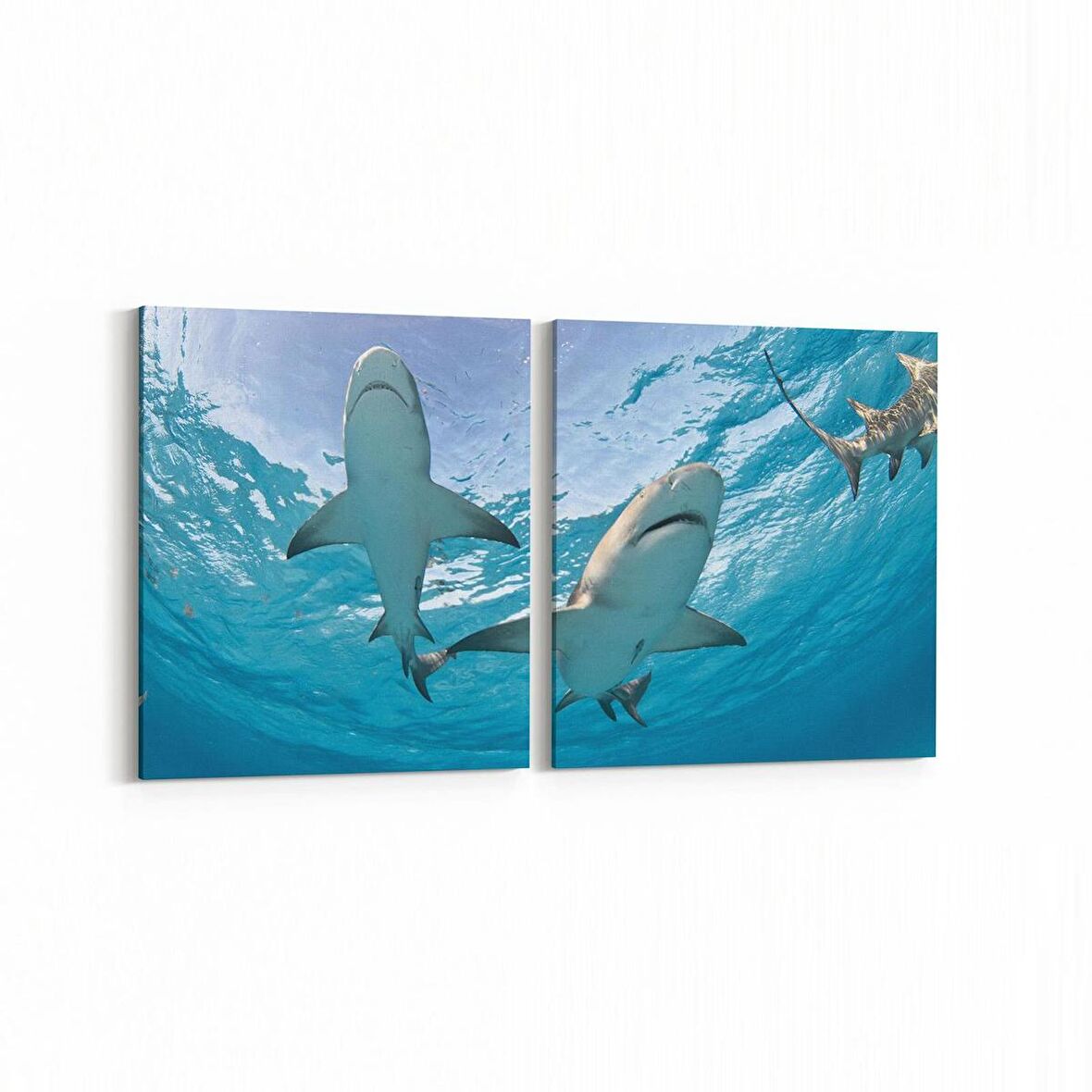 Olla 12953K2Y Deniz / Okyanus Görseli Kare 2'li Yatay Kanvas Tablo (Ölçü: 85X40)