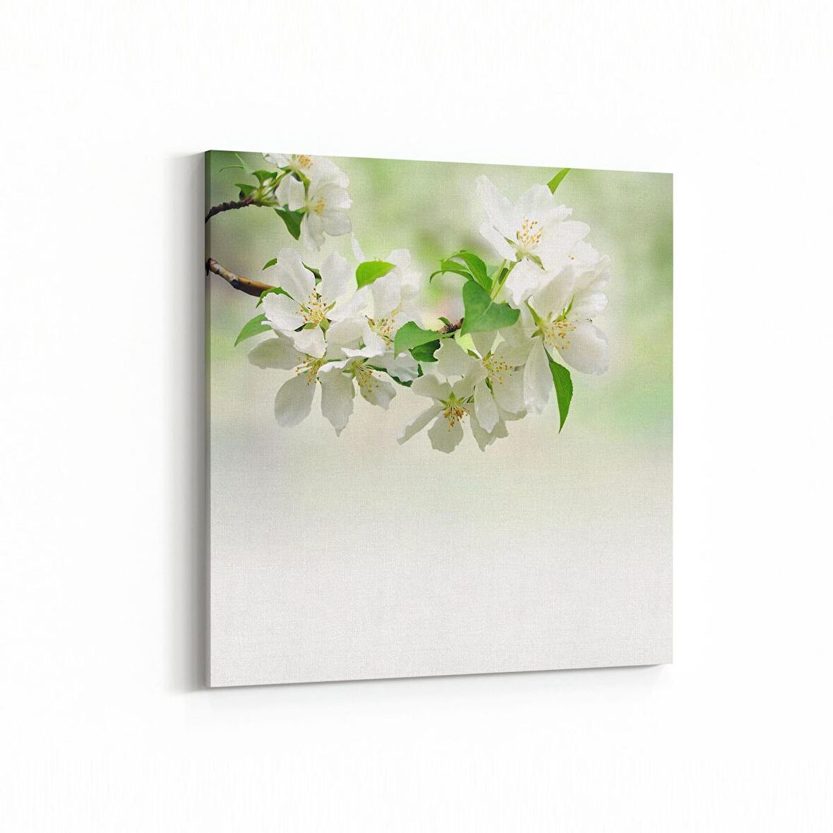 Olla 11752K Orkide Çiçek Görseli Kare Kanvas Tablo (Ölçü: 100X100)