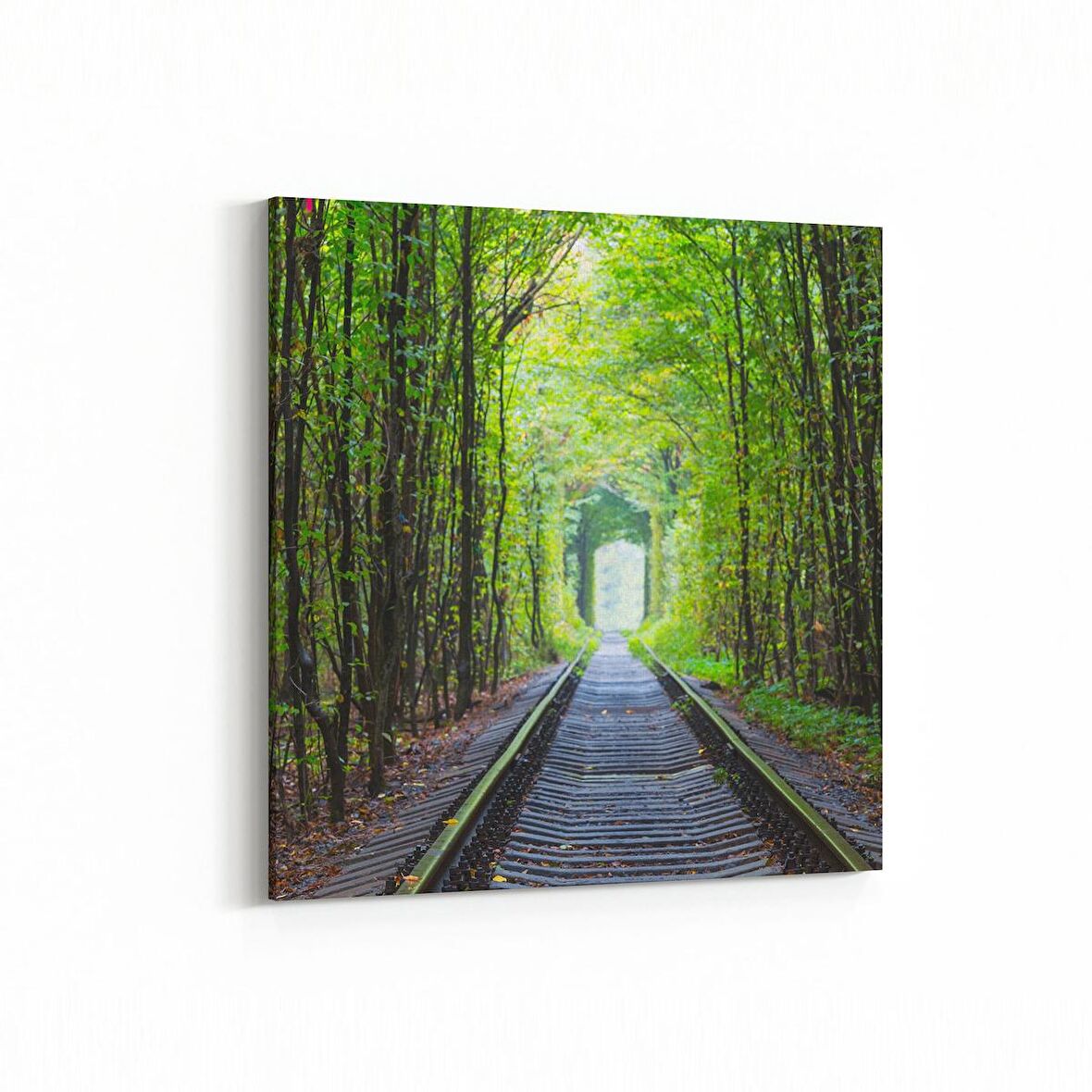 Olla 13902K Doğa / Manzara Görseli Kare Kanvas Tablo (Ölçü: 25X25)