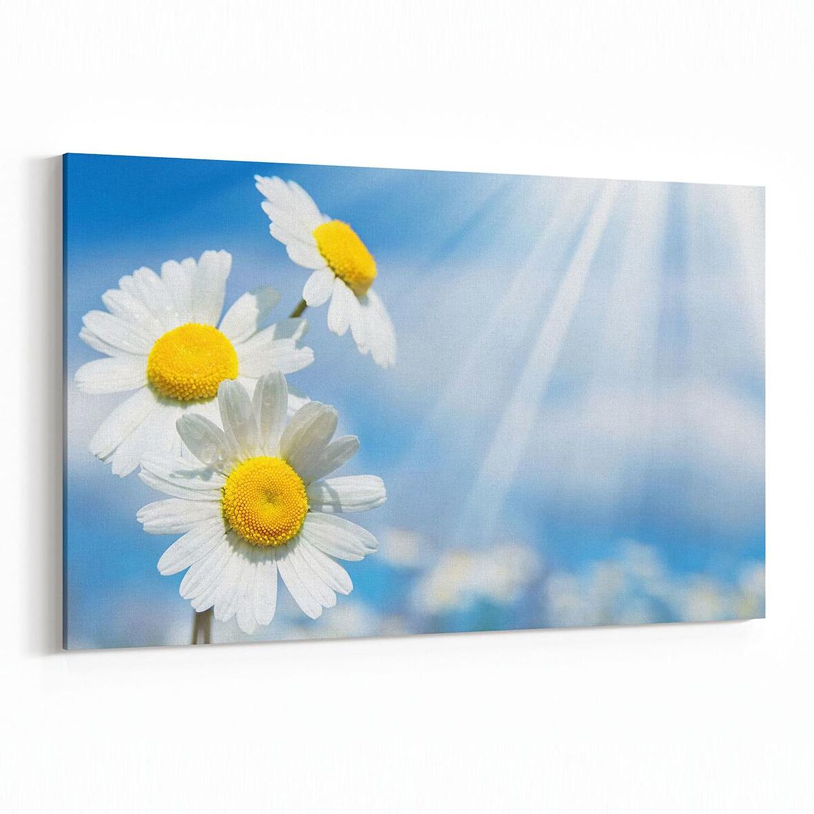 Olla 10724Y Ağaç Görseli Yatay Kanvas Tablo (Ölçü: 30X20)