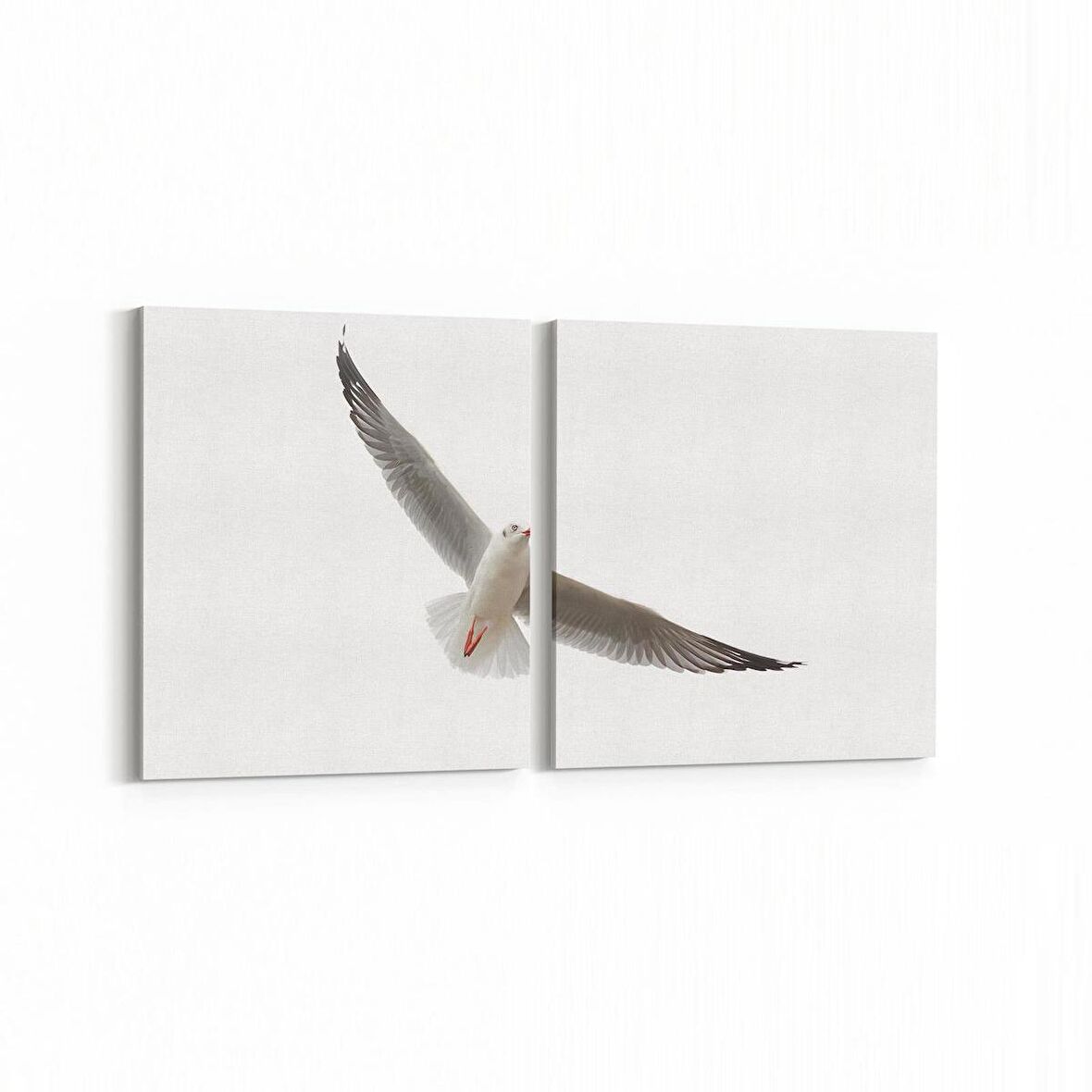 Olla 12639K2Y Hayvanlar Alemi Görseli Kare 2'li Yatay Kanvas Tablo (Ölçü: 125X60)