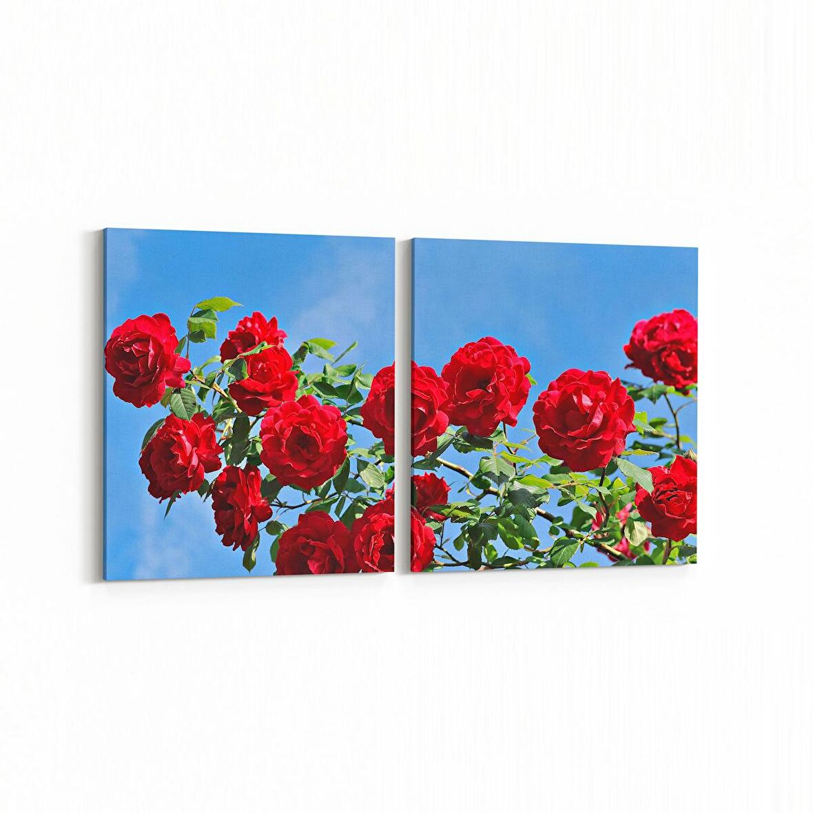 Olla 11020K2Y Ağaç Görseli Kare 2'li Yatay Kanvas Tablo (Ölçü: 85X40)