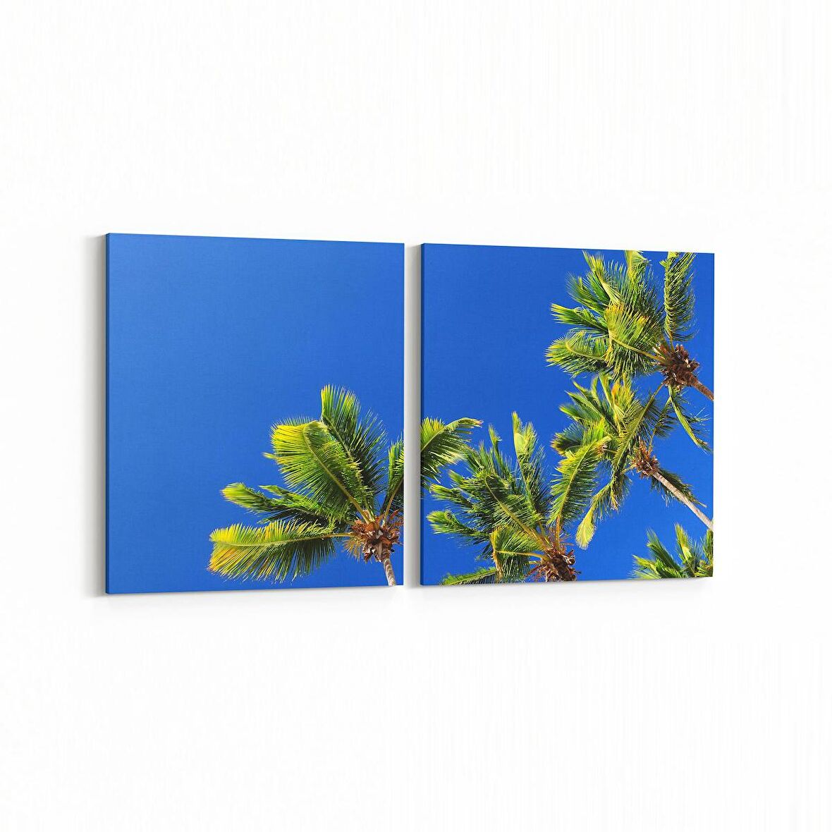 Olla 11493K2Y Palmiye Ağacı Görseli Kare 2'li Yatay Kanvas Tablo (Ölçü: 65X30)