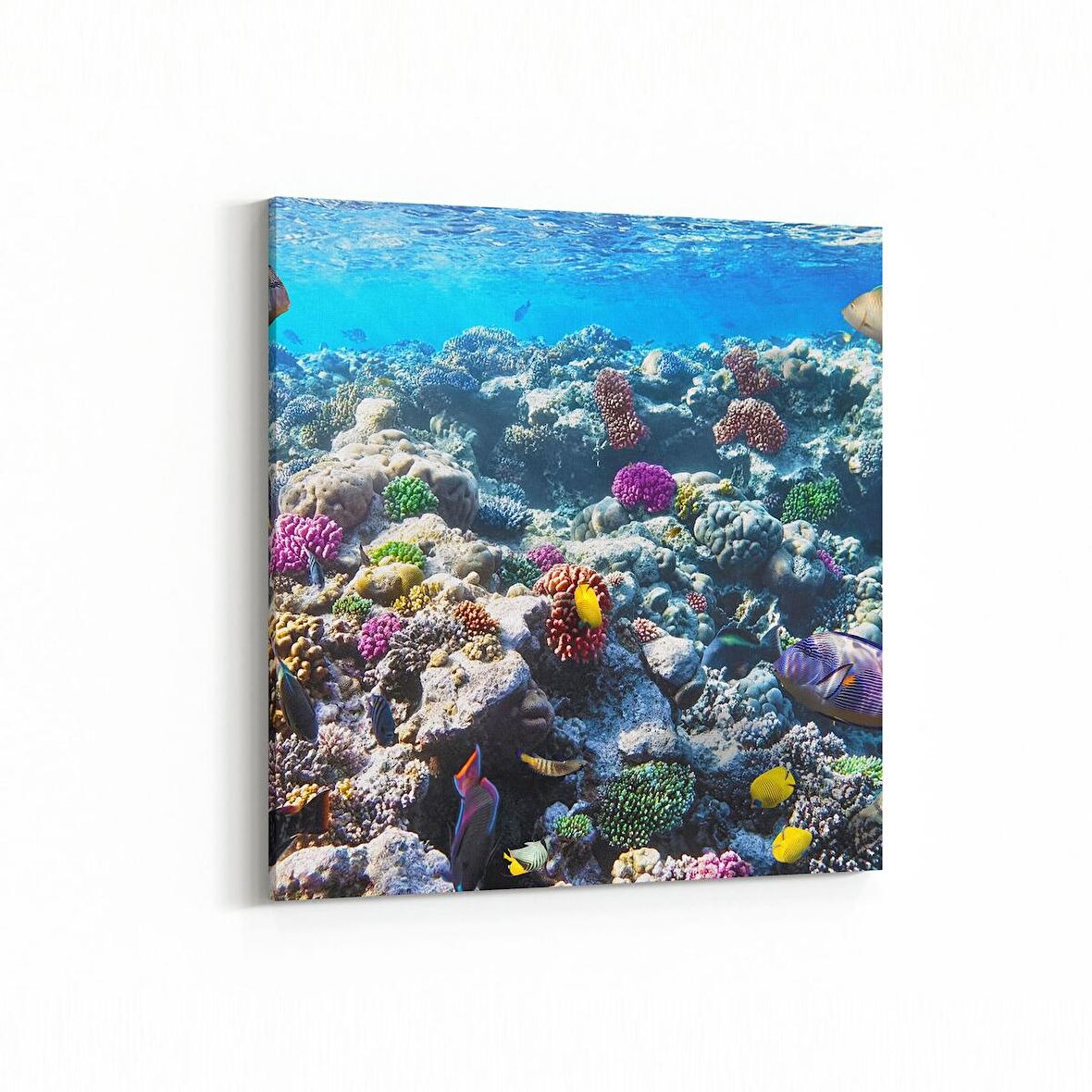 Olla 12073K Akvaryum / Balık Görseli Kare Kanvas Tablo (Ölçü: 25X25)