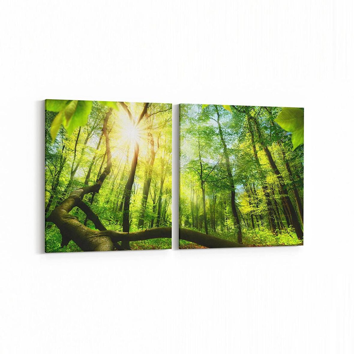 Olla 14313K2Y Doğa / Manzara Görseli Kare 2'li Yatay Kanvas Tablo (Ölçü: 85X40)