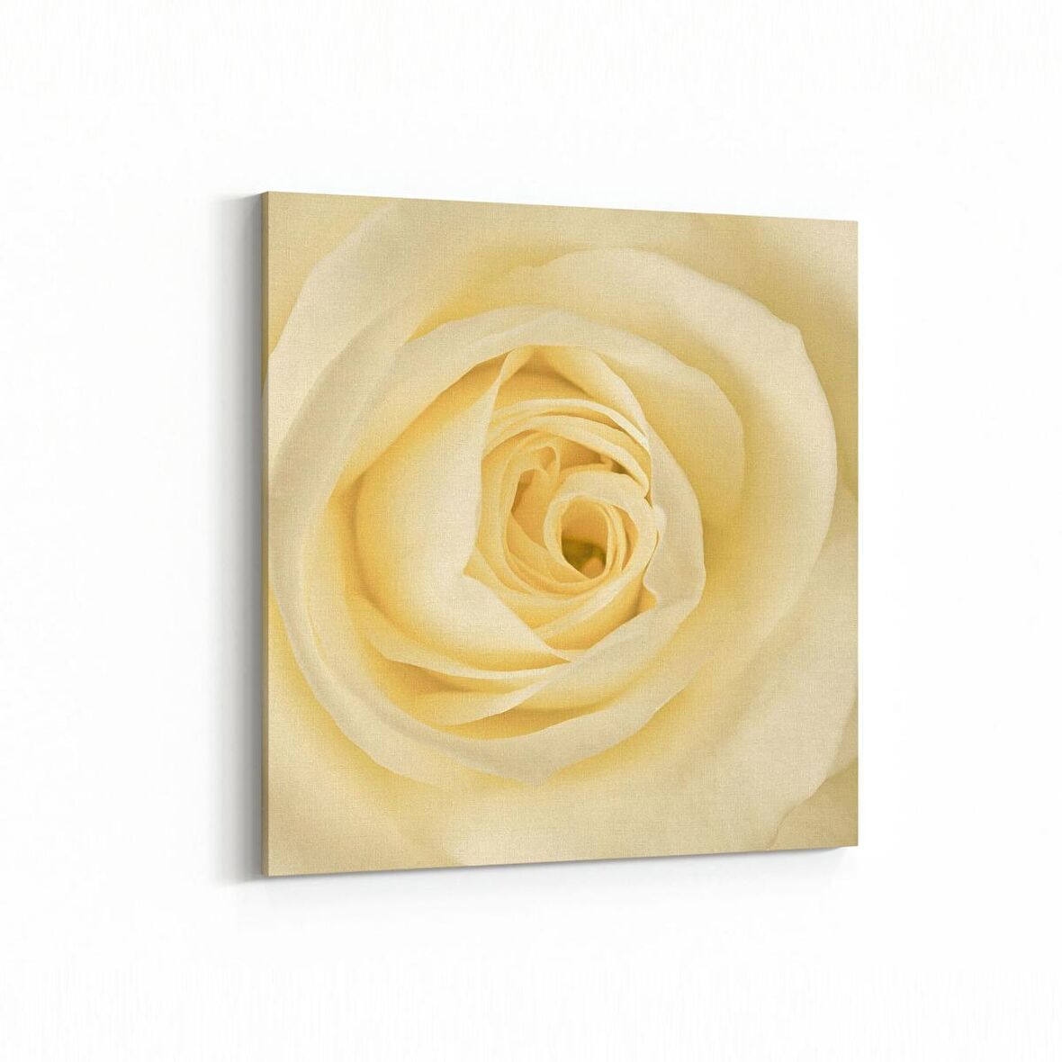 Olla 11644K Çiçek Görseli Kare Kanvas Tablo (Ölçü: 30X30)