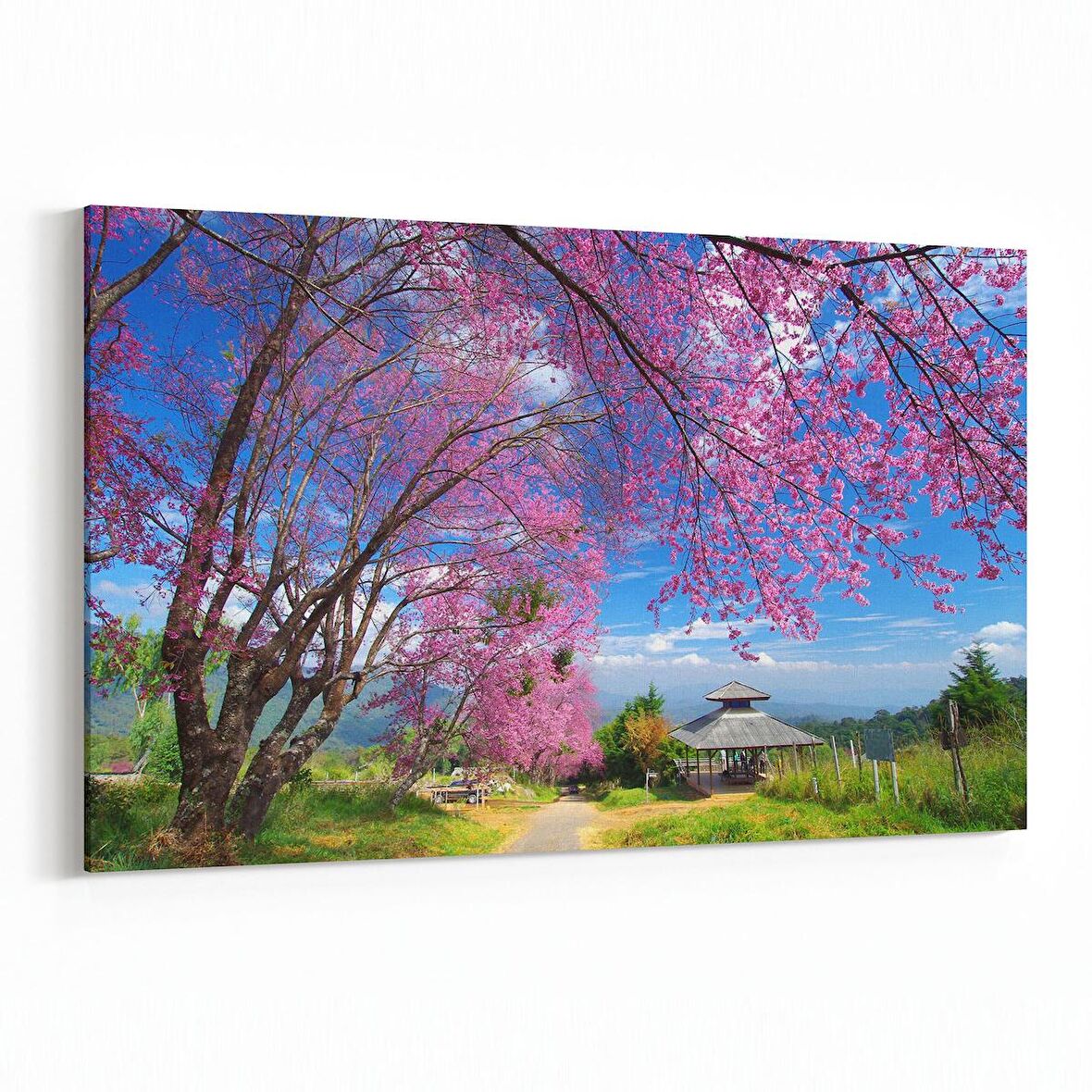 Olla 14600Y Doğa / Manzara Görseli Yatay Kanvas Tablo (Ölçü: 45X30)