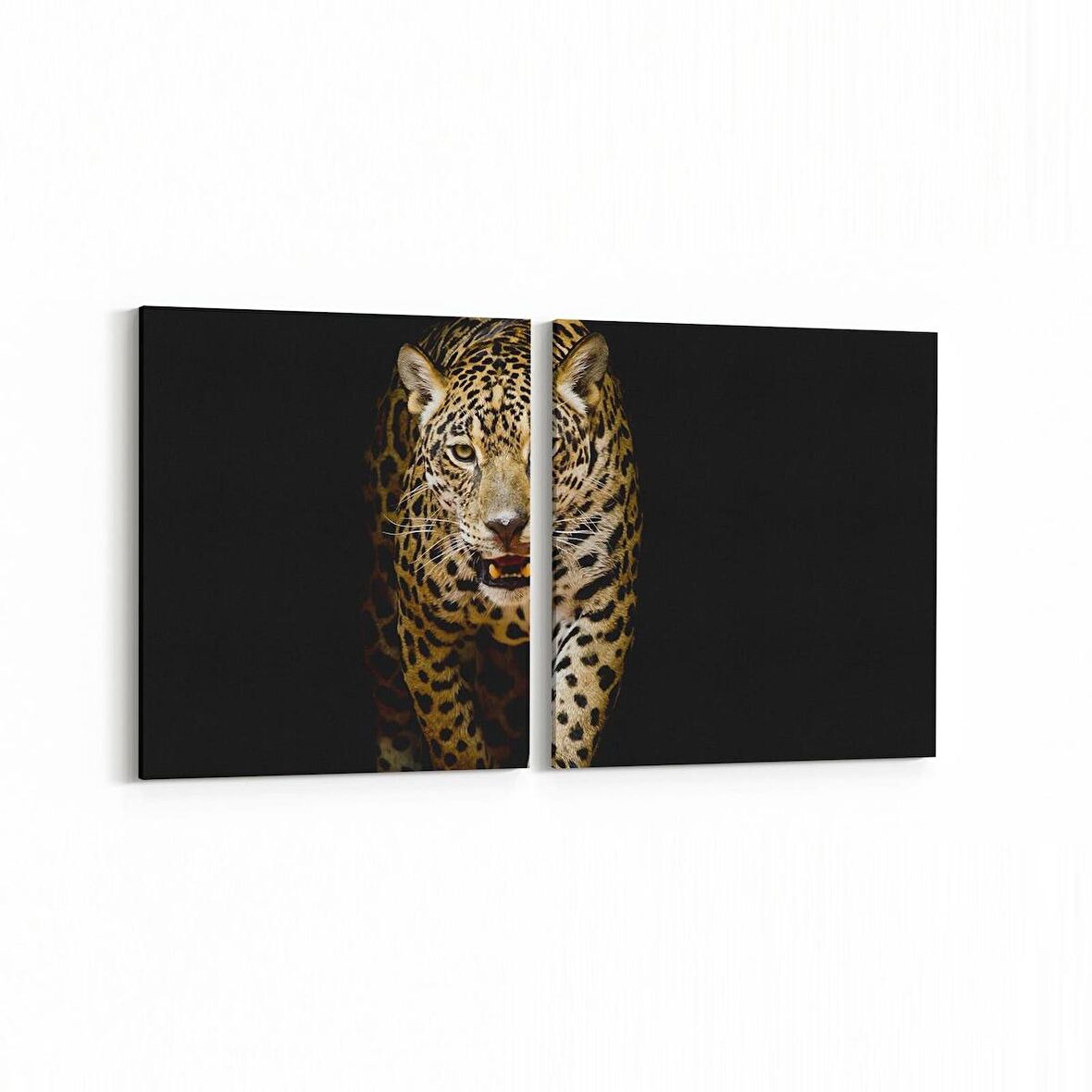 Olla 12477K2Y Hayvanlar Alemi Görseli Kare 2'li Yatay Kanvas Tablo (Ölçü: 85X40)