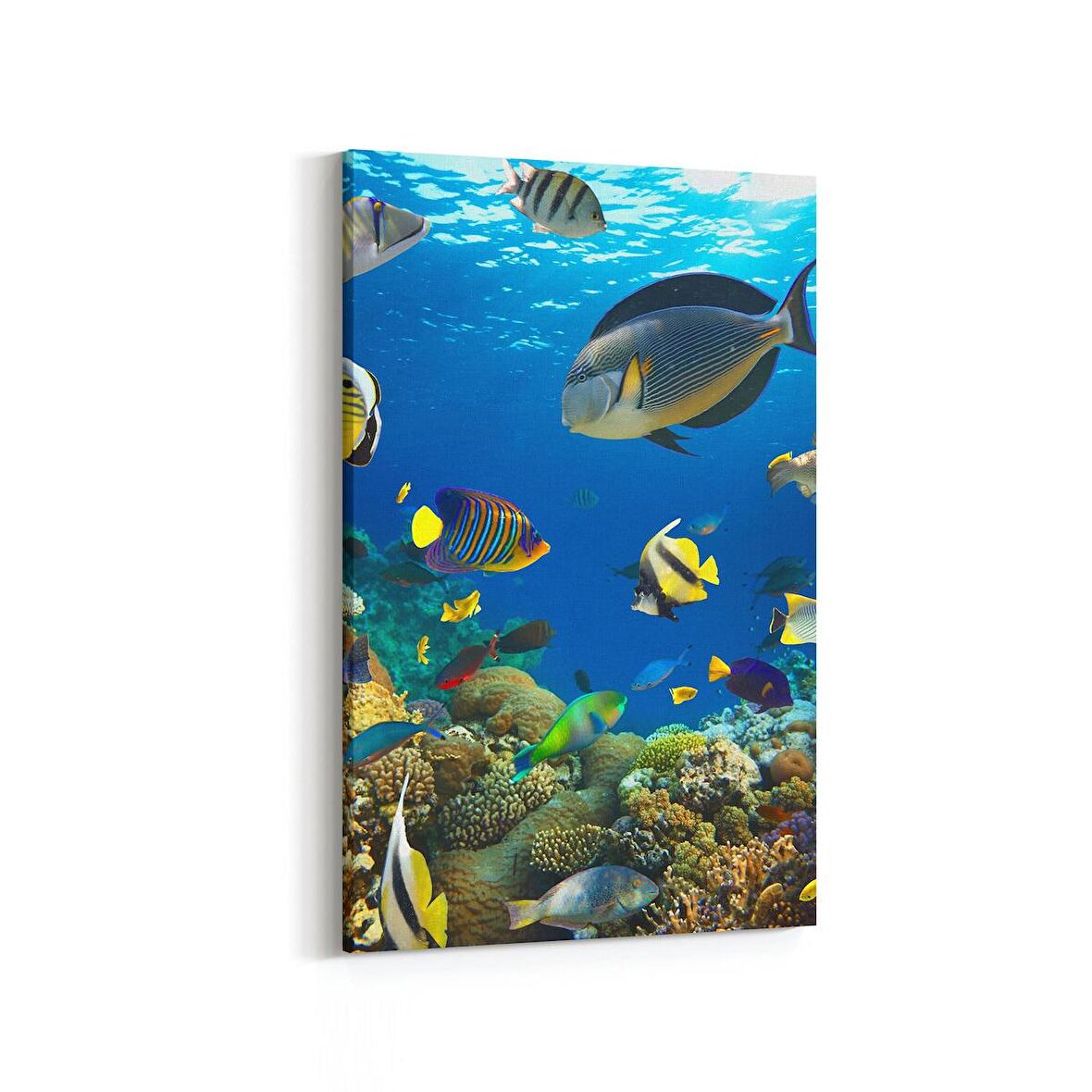 Olla 12207D Akvaryum / Balık Görseli Dikey Kanvas Tablo (Ölçü: 20X30)
