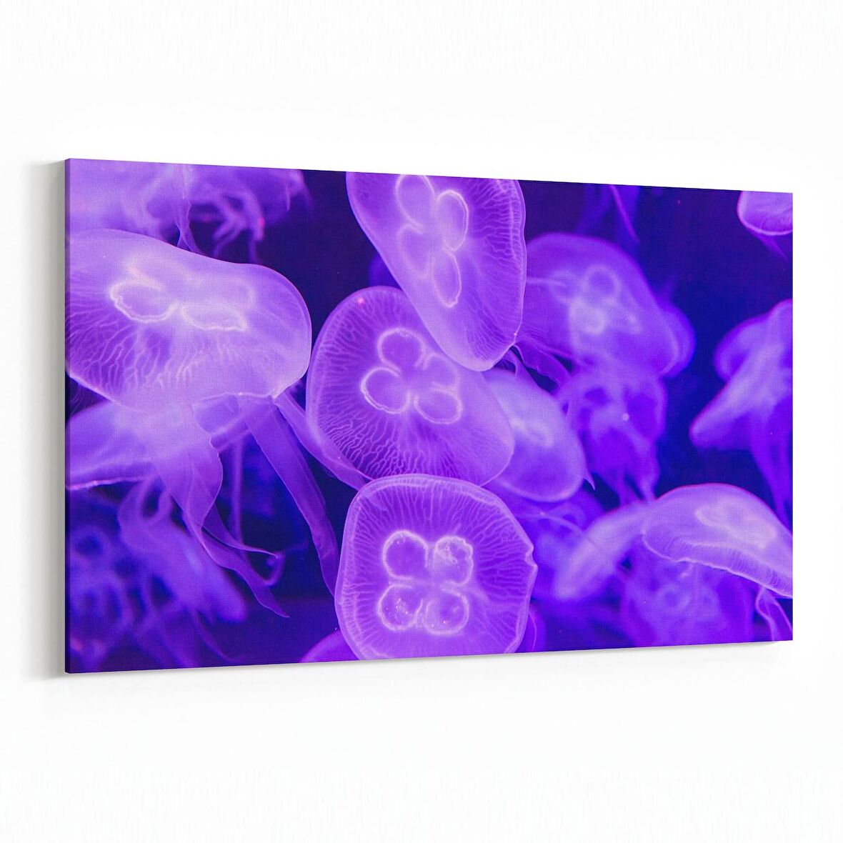 Olla 12872Y Deniz / Okyanus Görseli Yatay Kanvas Tablo (Ölçü: 30X20)