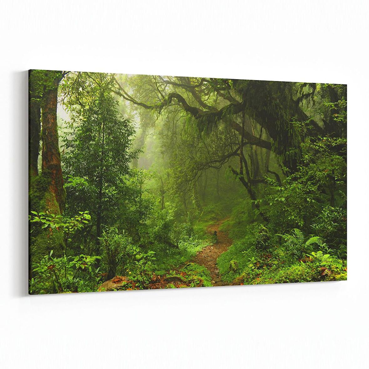 Olla 13455Y Doğa / Manzara Görseli Yatay Kanvas Tablo (Ölçü: 120X80)