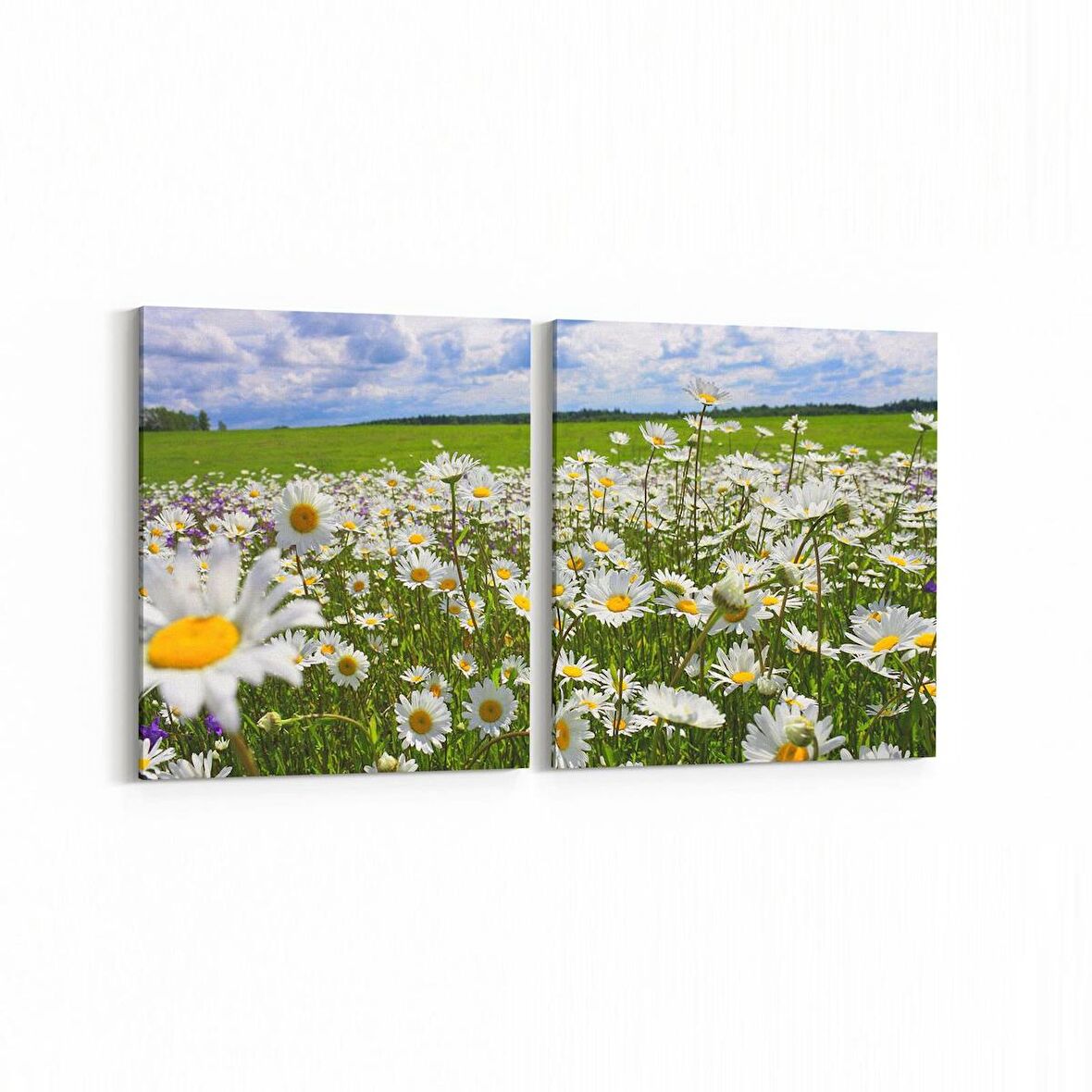 Olla 13792K2Y Doğa / Manzara Görseli Kare 2'li Yatay Kanvas Tablo (Ölçü: 105X50)