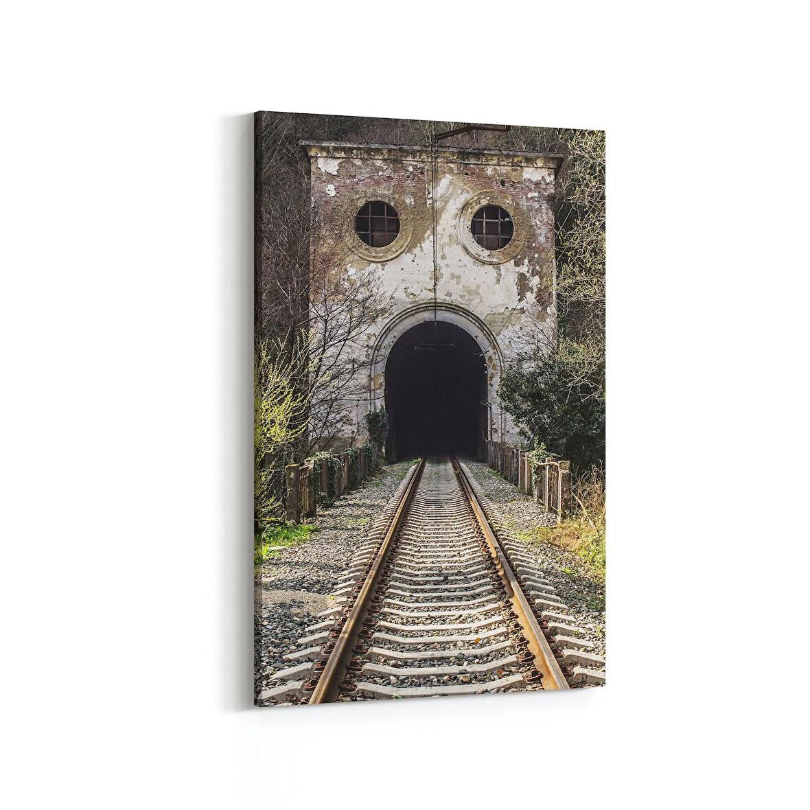 Olla 18264D Yapı Görseli Dikey Kanvas Tablo (Ölçü: 50X75)