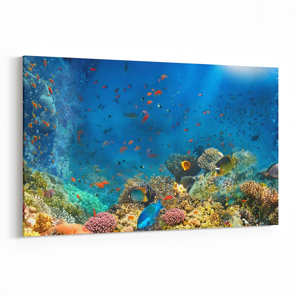 Olla 12115Y Akvaryum / Balık Görseli Yatay Kanvas Tablo (Ölçü: 150X100)