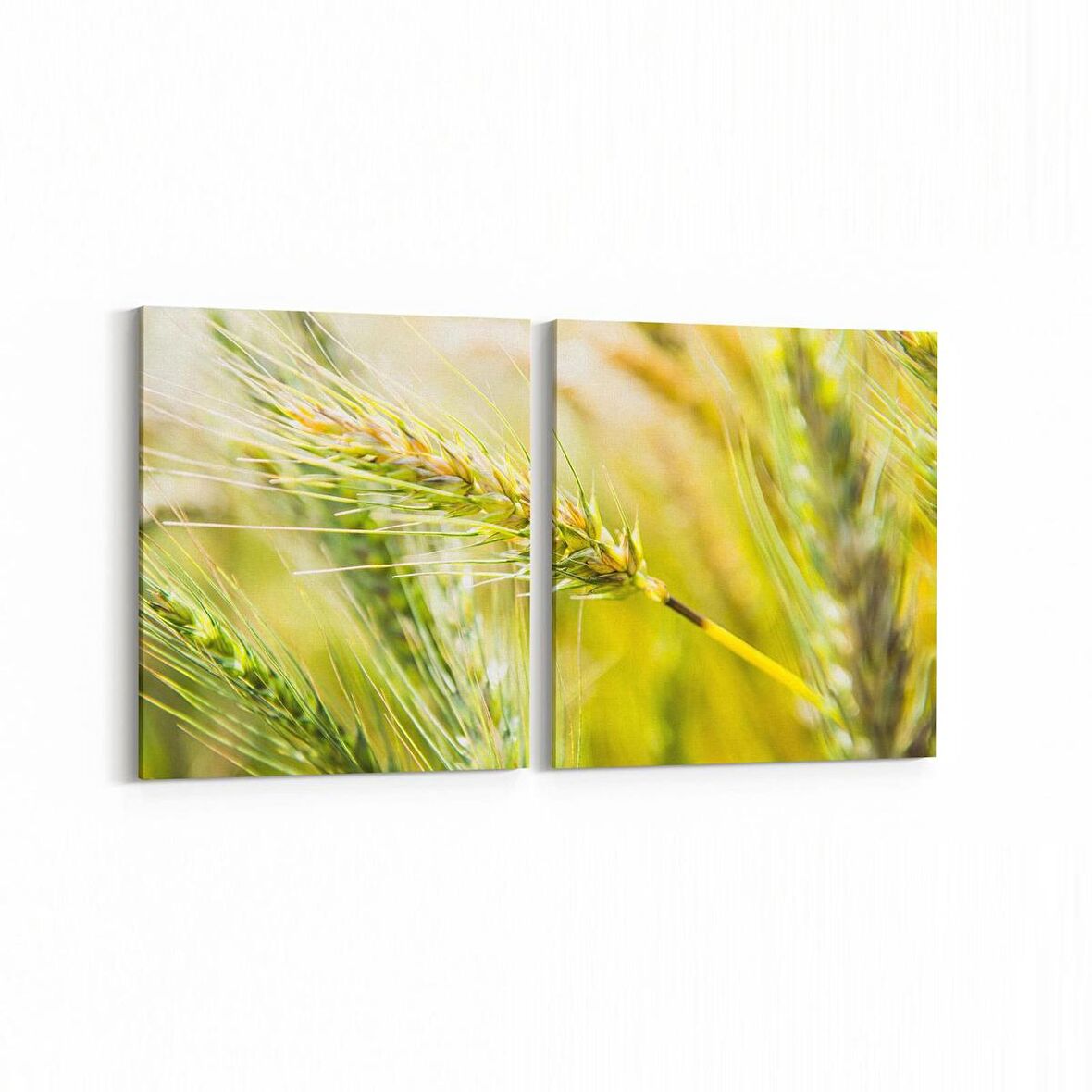 Olla 13670K2Y Doğa / Manzara Görseli Kare 2'li Yatay Kanvas Tablo (Ölçü: 105X50)