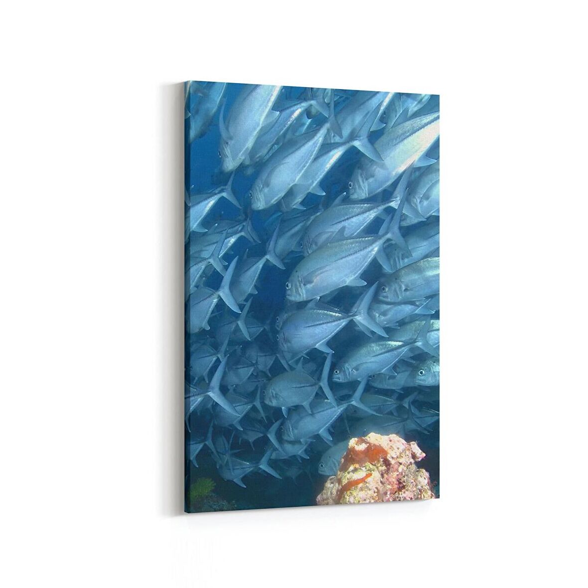 Olla 12889D Deniz / Okyanus Görseli Dikey Kanvas Tablo (Ölçü: 80X120)