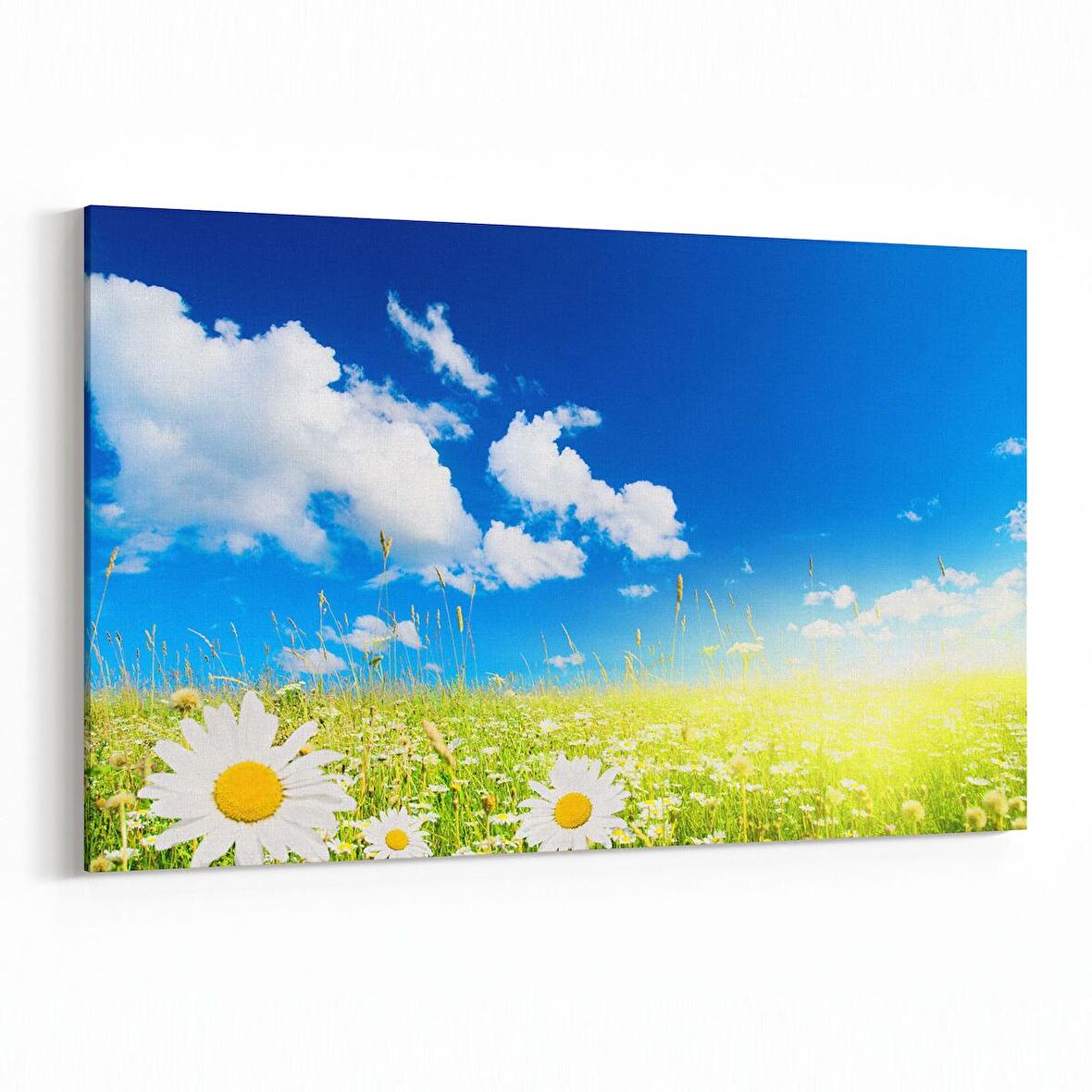 Olla 13733Y Doğa / Manzara Görseli Yatay Kanvas Tablo (Ölçü: 150X100)