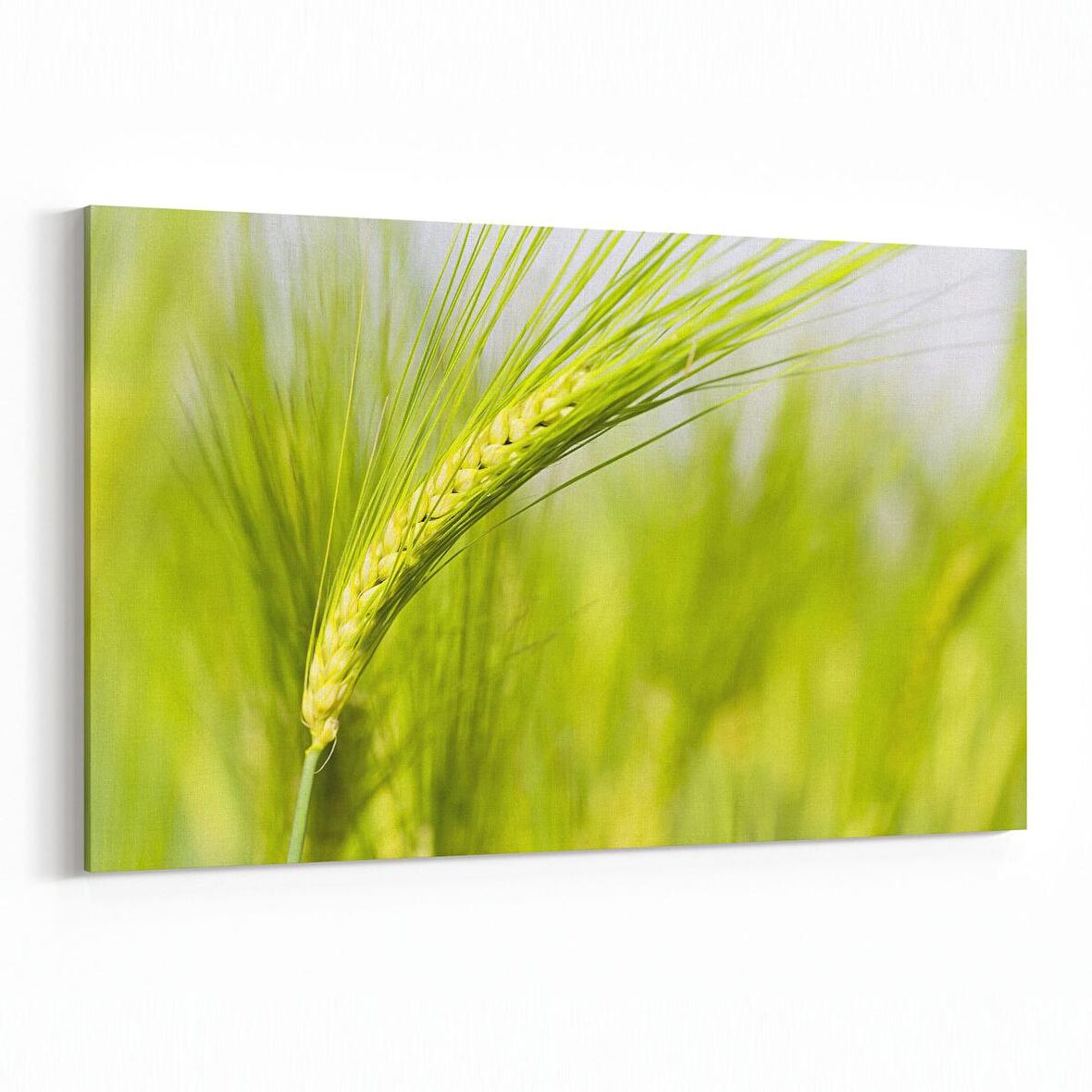 Olla 14329Y Doğa / Manzara Görseli Yatay Kanvas Tablo (Ölçü: 120X80)