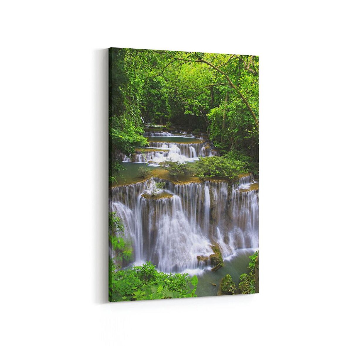 Olla 14542D Doğa / Manzara Görseli Dikey Kanvas Tablo (Ölçü: 60X90)