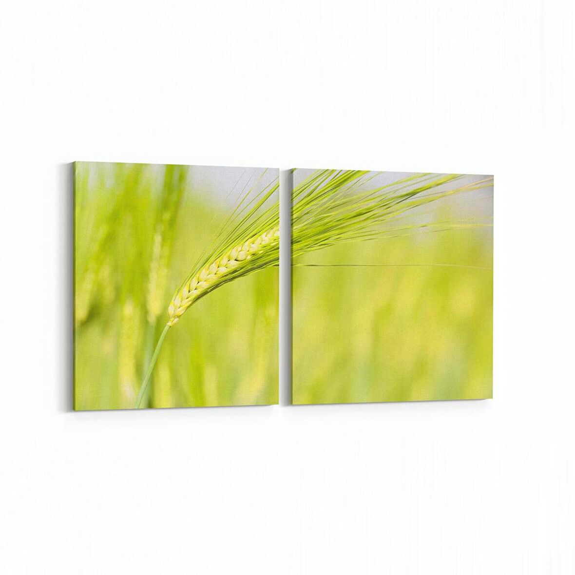 Olla 14327K2Y Doğa / Manzara Görseli Kare 2'li Yatay Kanvas Tablo (Ölçü: 85X40)