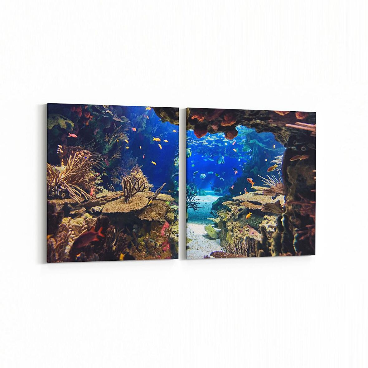 Olla 12140K2Y Akvaryum / Balık Görseli Kare 2'li Yatay Kanvas Tablo (Ölçü: 145X70)