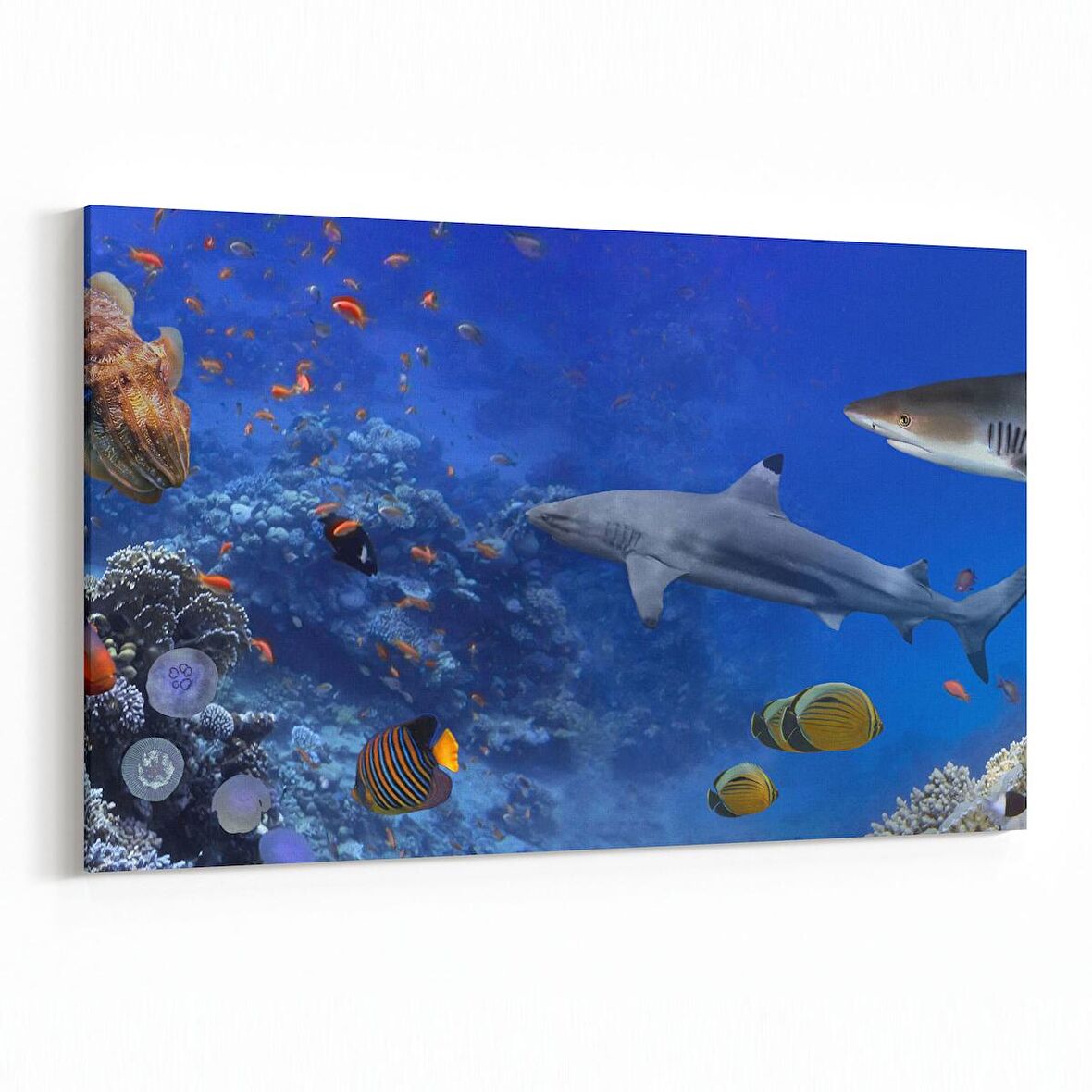 Olla 12143Y Akvaryum / Balık Görseli Yatay Kanvas Tablo (Ölçü: 90X60)