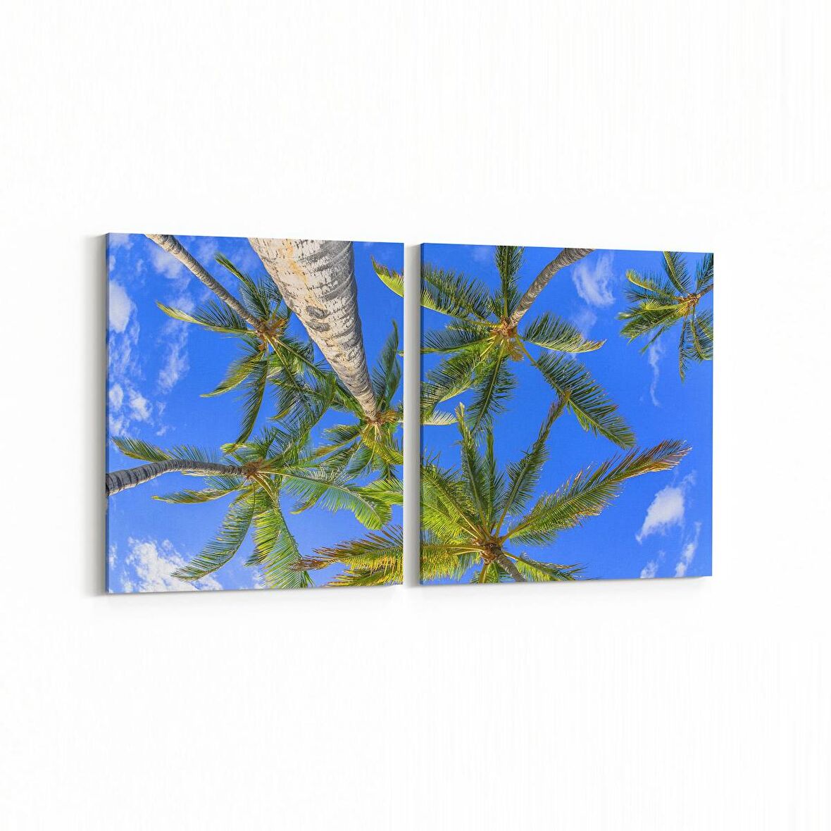 Olla 11516K2Y Palmiye Ağacı Görseli Kare 2'li Yatay Kanvas Tablo (Ölçü: 145X70)