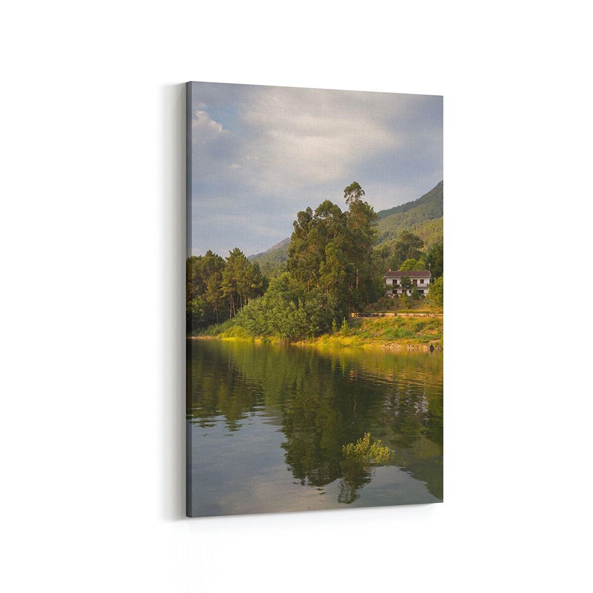 Olla 14073D Doğa / Manzara Görseli Dikey Kanvas Tablo (Ölçü: 60X90)