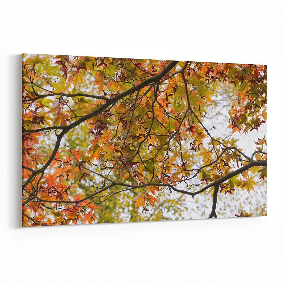 Olla 10899Y Ağaç Görseli Yatay Kanvas Tablo (Ölçü: 90X60)