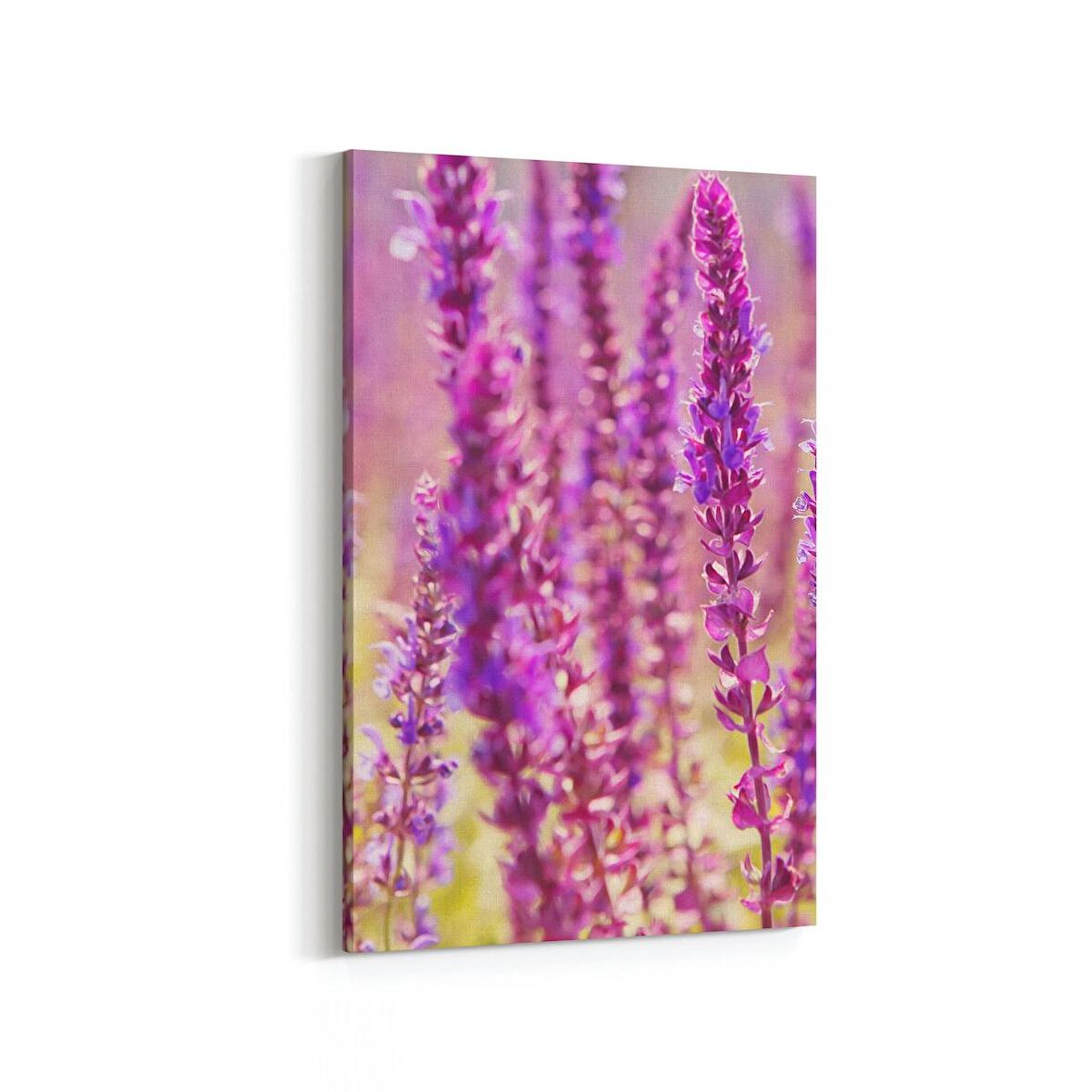 Olla 11578D Çiçek Görseli Dikey Kanvas Tablo (Ölçü: 20X30)