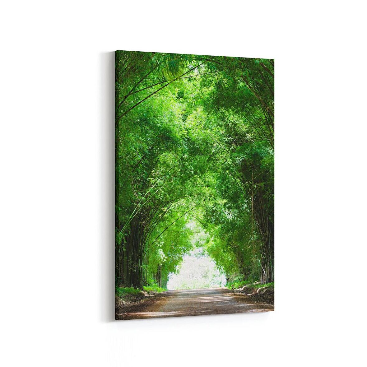 Olla 14092D Doğa / Manzara Görseli Dikey Kanvas Tablo (Ölçü: 60X90)