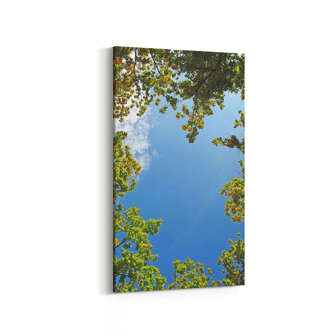 Olla 10831DD Ağaç Görseli Dikey Dar Kanvas Tablo (Ölçü: 30X60)