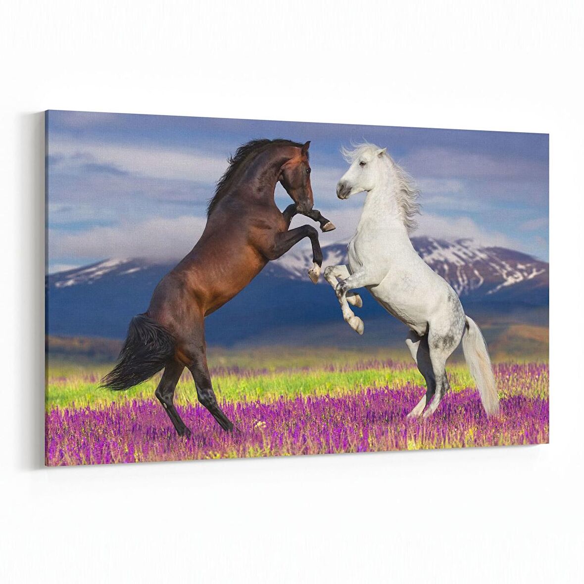 Olla 12608Y Hayvanlar Alemi Görseli Yatay Kanvas Tablo (Ölçü: 30X20)