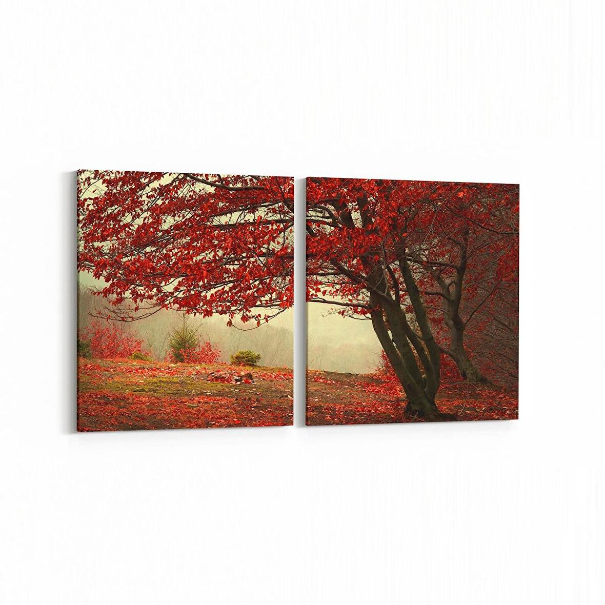 Olla 13338K2Y Doğa / Manzara Görseli Kare 2'li Yatay Kanvas Tablo (Ölçü: 85X40)