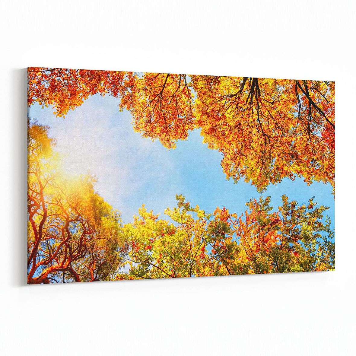 Olla 10792Y Ağaç Görseli Yatay Kanvas Tablo (Ölçü: 30X20)
