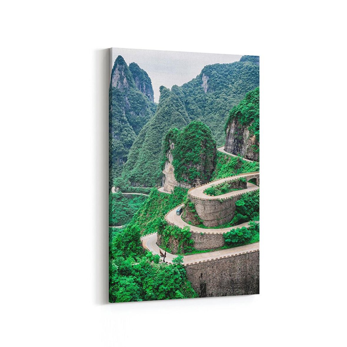 Olla 13332D Doğa / Manzara Görseli Dikey Kanvas Tablo (Ölçü: 60X90)