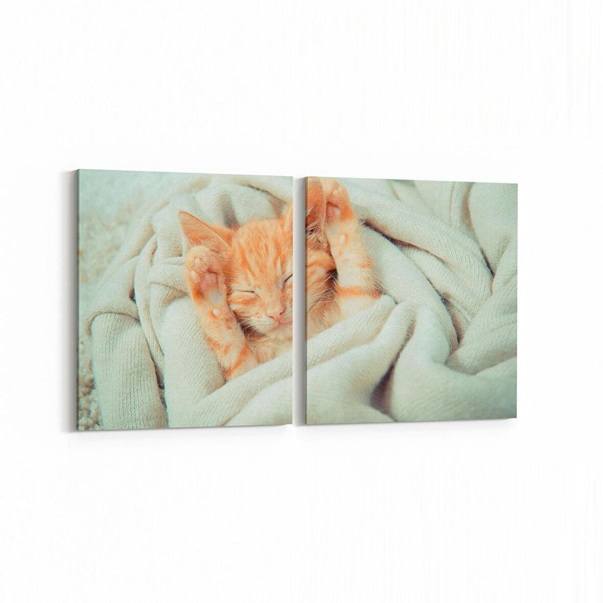 Olla 12684K2Y Hayvanlar Alemi Görseli Kare 2'li Yatay Kanvas Tablo (Ölçü: 125X60)