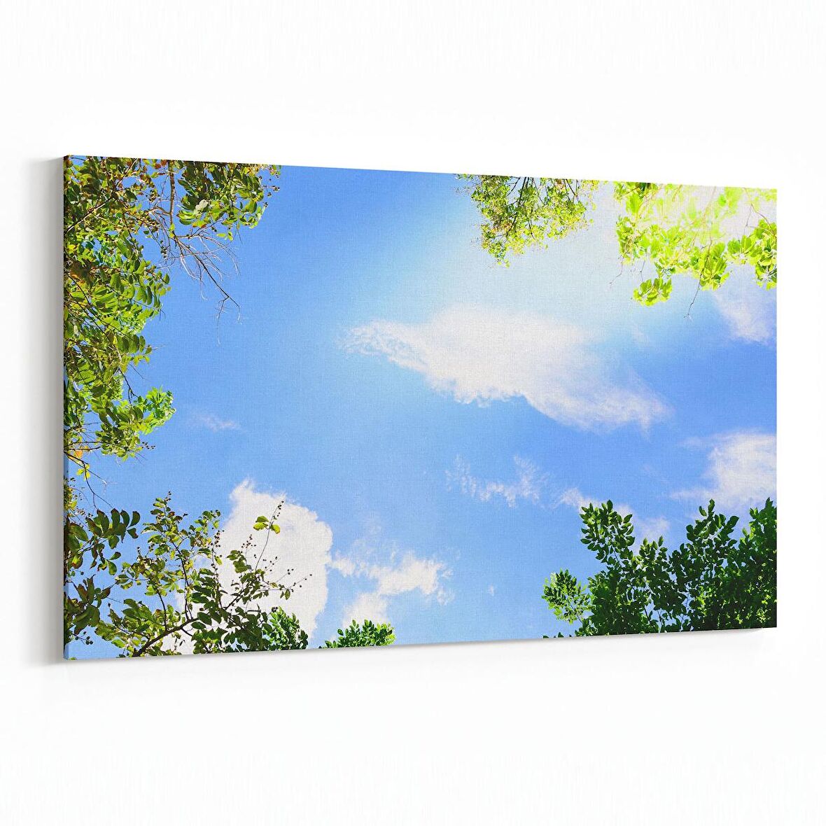 Olla 10775Y Ağaç Görseli Yatay Kanvas Tablo (Ölçü: 45X30)