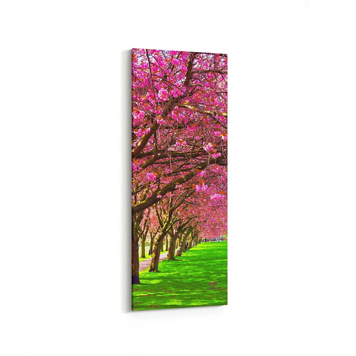 Olla 13730DI Doğa / Manzara Görseli Dikey İnce Kanvas Tablo (Ölçü: 40X120)
