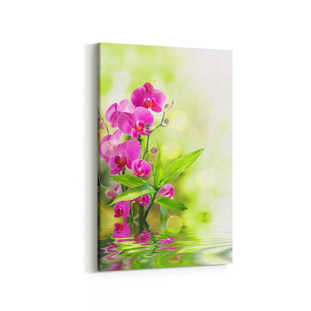 Olla 11687D Orkide Çiçek Görseli Dikey Kanvas Tablo (Ölçü: 100X150)