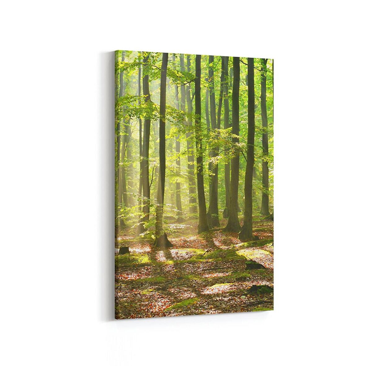 Olla 13593D Doğa / Manzara Görseli Dikey Kanvas Tablo (Ölçü: 100X150)