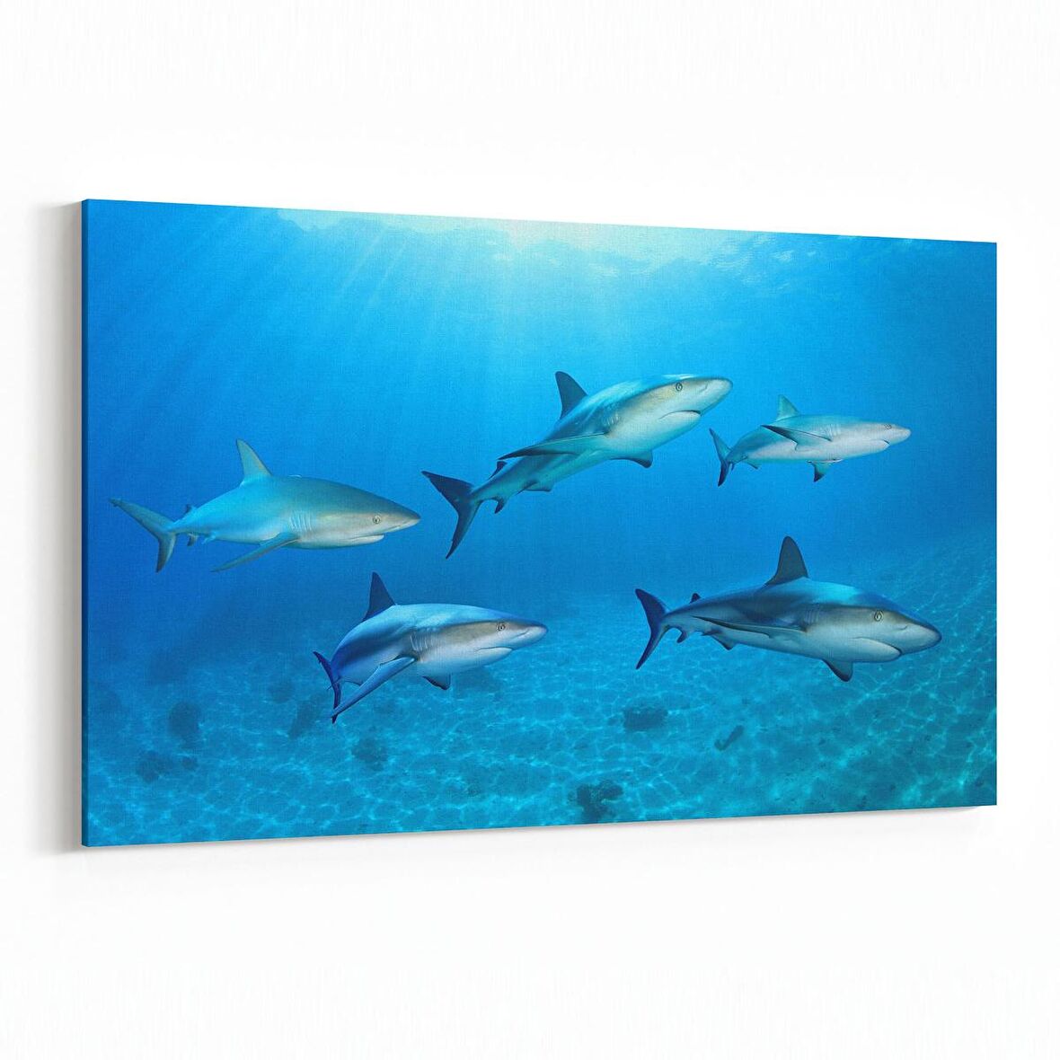 Olla 12870Y Deniz / Okyanus Görseli Yatay Kanvas Tablo (Ölçü: 70X50)