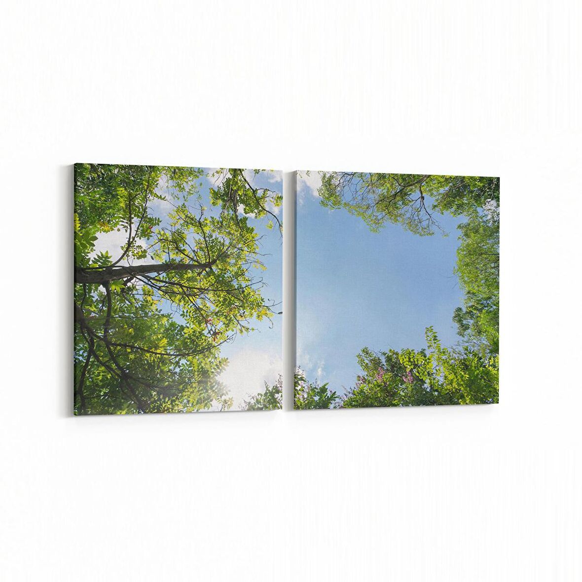 Olla 10504K2Y Ağaç Görseli Kare 2'li Yatay Kanvas Tablo (Ölçü: 85X40)
