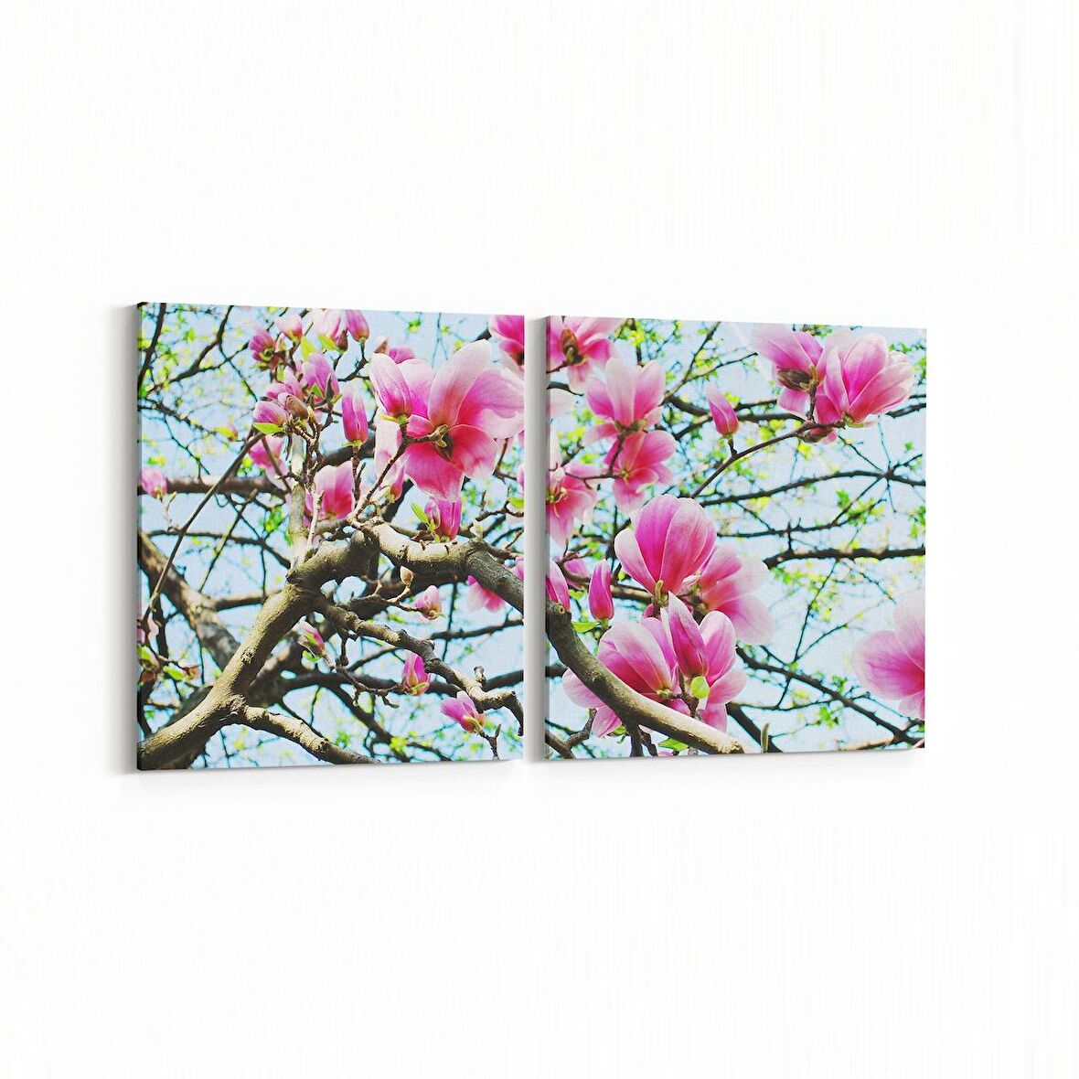 Olla 11064K2Y Ağaç Görseli Kare 2'li Yatay Kanvas Tablo (Ölçü: 125X60)