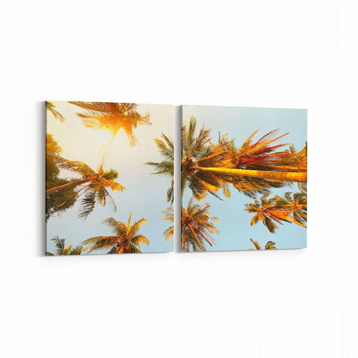 Olla 11545K2Y Palmiye Ağacı Görseli Kare 2'li Yatay Kanvas Tablo (Ölçü: 145X70)