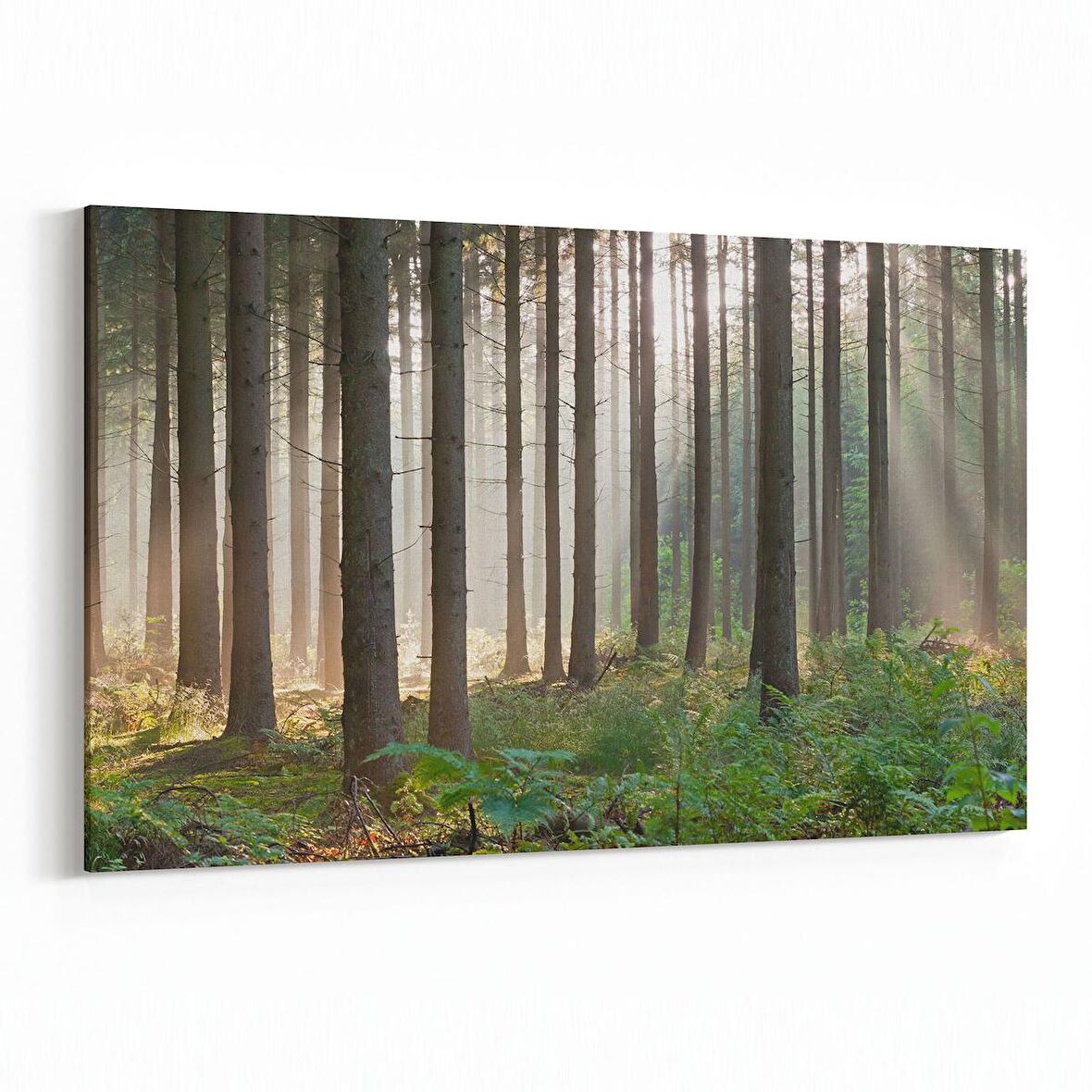 Olla 13202Y Doğa / Manzara Görseli Yatay Kanvas Tablo (Ölçü: 120X80)